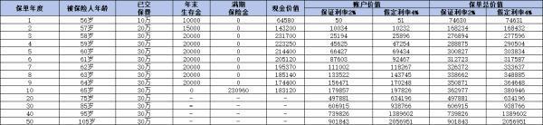 2024中国人寿年金险买什么好