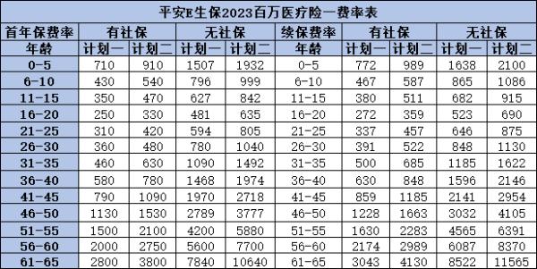 e生保一年保费多少钱