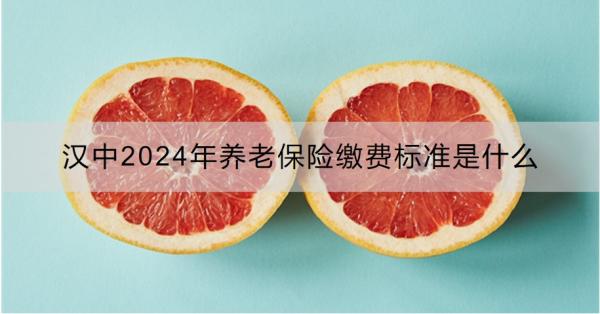 汉中2024年养老保险缴费标准是什么？缴费方式有哪些？