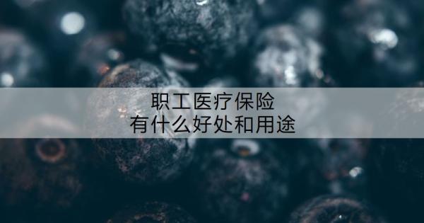 职工医疗保险有什么好处和用途