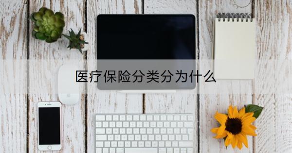 医疗保险分类分为什么