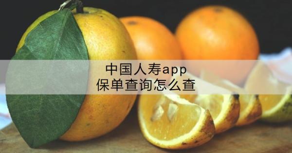 中国人寿app保单查询怎么查？保单还能怎么查？