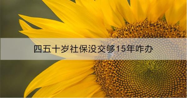 四五十岁社保没交够15年咋办？这个方法帮你解决！