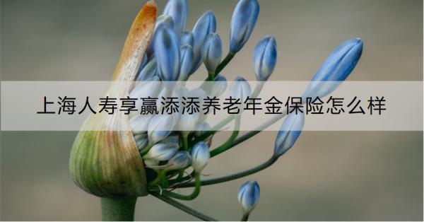 上海人寿享赢添添养老年金保险怎么样？两个方面为你全面解析