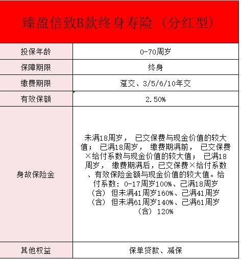 阳光臻盈倍致B款终身寿险分红型