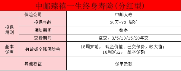 中邮臻禧一生终身寿险（分红型）