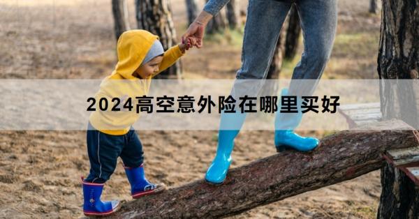 2024高空意外险在哪里买好？购买要注意什么？