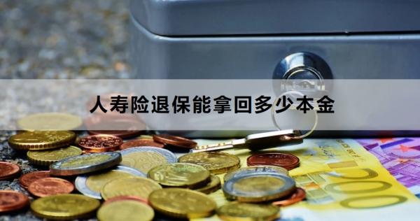 人寿险退保能拿回多少本金？退保流程是什么？