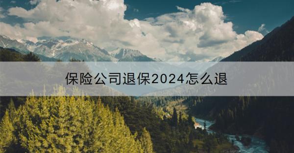 保险公司退保2024怎么退？保险退保有什么影响呢？