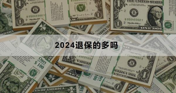 2024退保的多吗