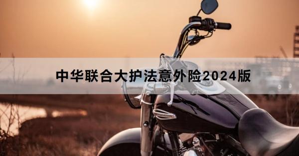 中华联合大护法意外险2024版