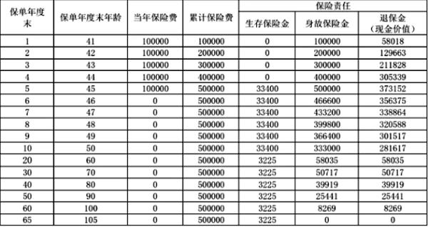 国民蚂蚁盈利宝B款年金保险(互联网专属)