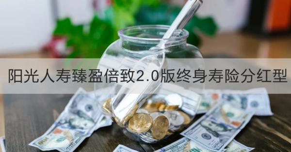 阳光人寿臻盈倍致2.0版终身寿险分红型介绍，投保规则+产品保障