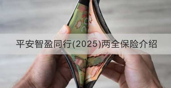 平安智盈同行(2025)两全保险介绍，基本信息+产品保障