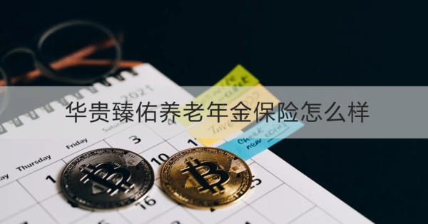 华贵臻佑养老年金保险怎么样