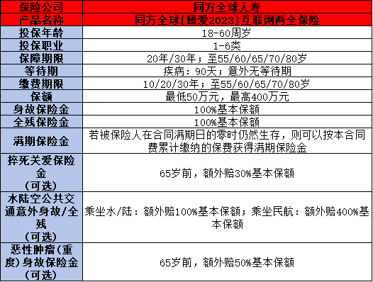 大公司的定期寿险