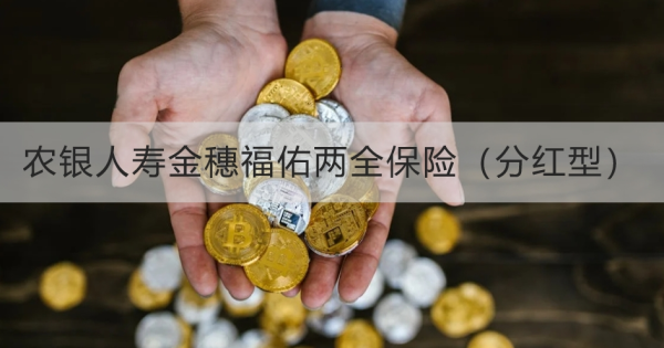 农银人寿金穗福佑两全保险（分红型）如何？三个方面为你解答