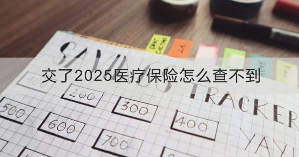 交了2025医疗保险怎么查不到？怎么查询 ？