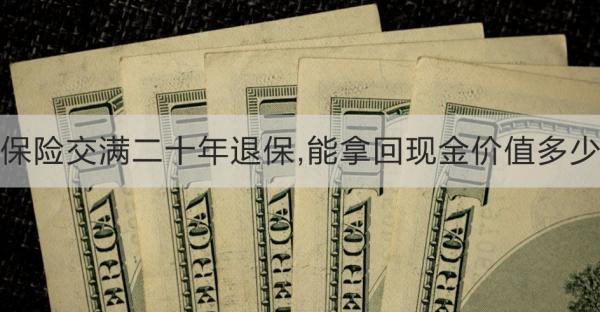 保险交满二十年退保,能拿回现金价值多少？看完这篇文章就知道了