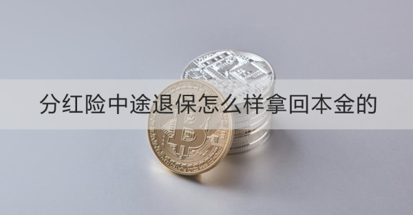 分红险中途退保怎么样拿回本金的？需要注意什么？