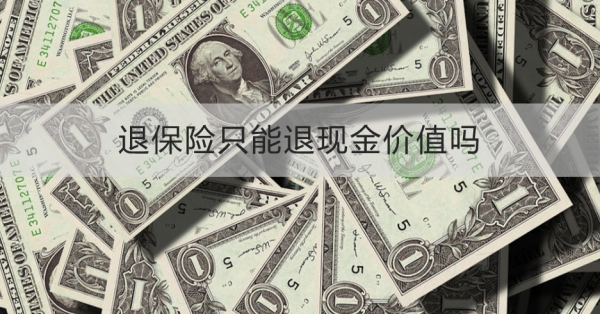 退保险只能退现金价值吗？怎么退？