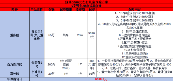 预算6000儿童保险方案，轻松配置