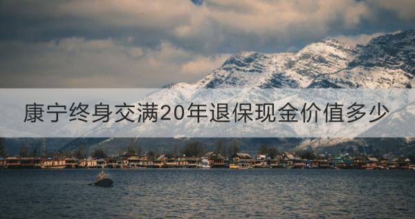 康宁终身交满20年退保现金价值多少？康宁终身退保流程‌有哪些？