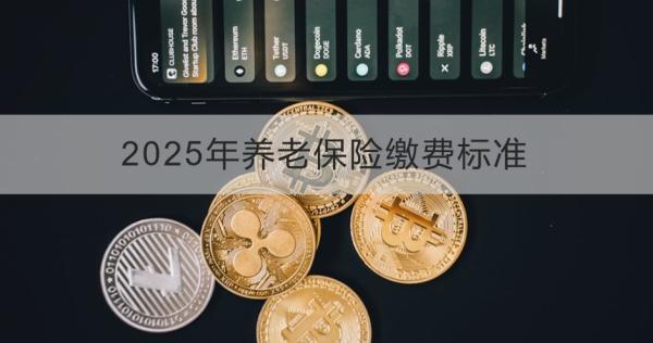 2025年养老保险缴费标准是多少？缴费渠道有哪些？