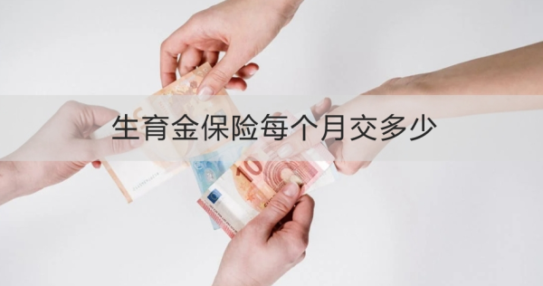 生育金保险每个月交多少